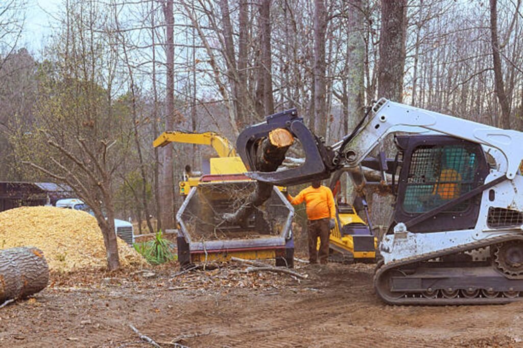 Residential property after professional tree removal with logs processed and the hazardous tree safely removed in Wildwood, MO.