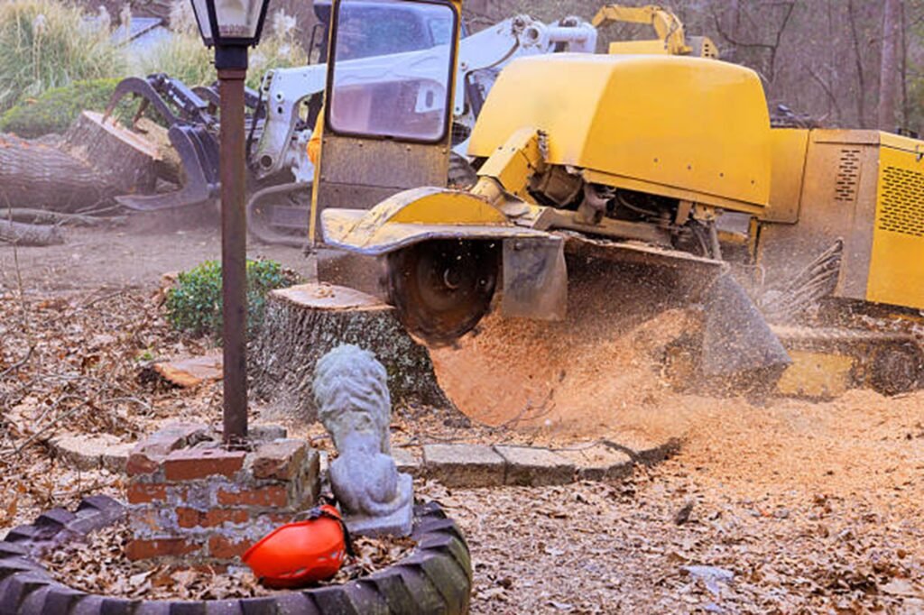 Professional stump grinding machine removing a large tree stump while clearing wood chips during a residential stump grinding project in Ballwin, MO.