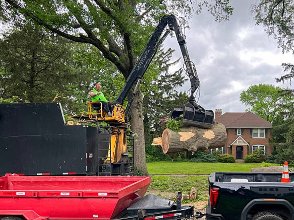 Professional tree removal crew using heavy equipment to safely lift and remove large tree sections during a residential tree removal project in Ballwin, MO.