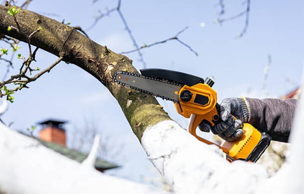 Professional tree trimming specialist pruning a large tree branch with a chainsaw to improve tree health and safety in Wildwood, MO.