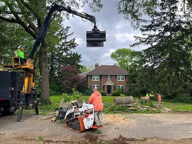 Professional tree care crew using heavy equipment to remove trimmed tree sections during a tree trimming and pruning project in Ballwin, MO.