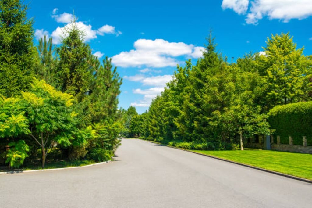 Beautiful tree-lined residential neighborhood representing the communities served by Wildwood Tree Service throughout Wildwood, MO.