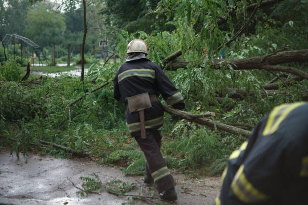 Professional crew clearing fallen trees and storm debris from a residential roadway during storm damage cleanup in Wildwood, MO.