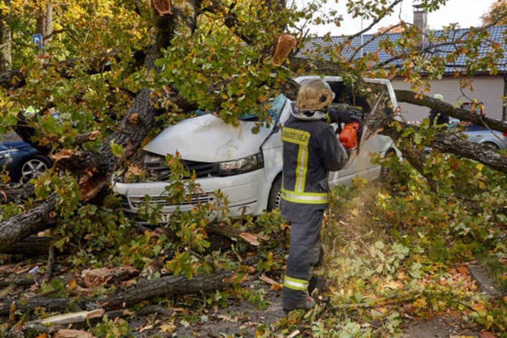Emergency tree service crew removing a large fallen tree from a damaged vehicle after severe storm damage in Wildwood, MO.