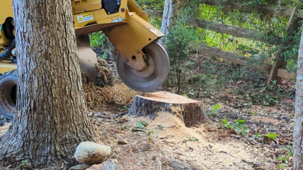 Commercial stump grinder removing a tree stump below ground level during professional stump grinding and removal service in Wildwood, MO.