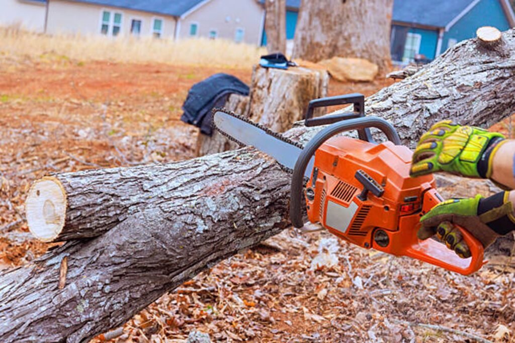Professional chainsaw cutting through a fallen tree during emergency tree removal service at a residential property in Wildwood, MO.