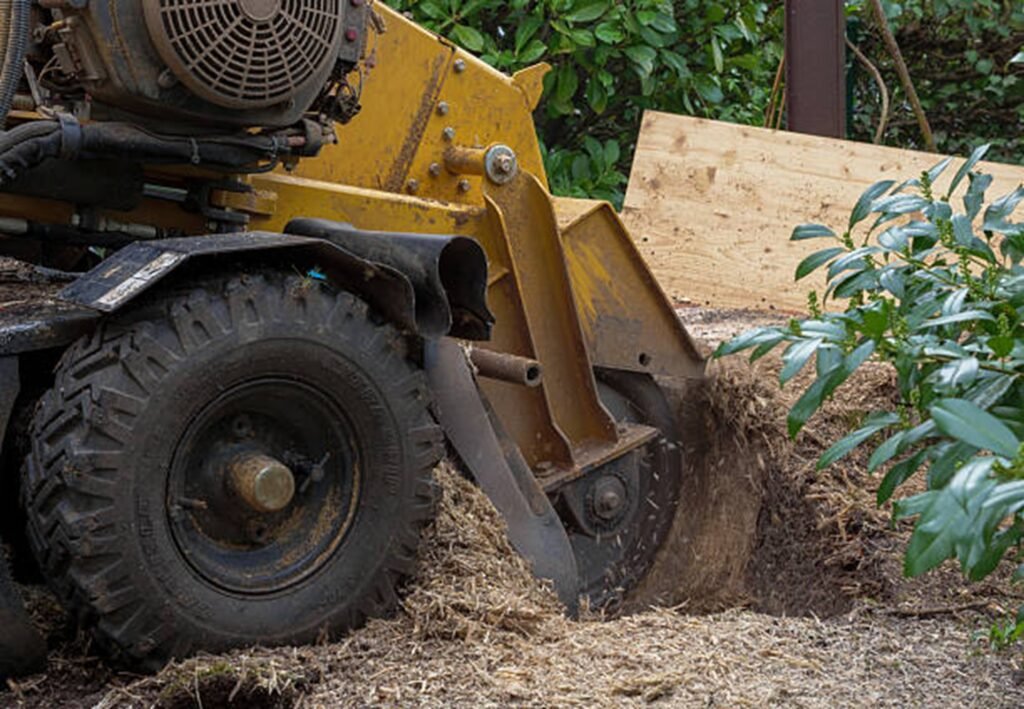 Professional stump grinding machine removing a tree stump from a residential yard during stump grinding and removal service in Wildwood, MO.