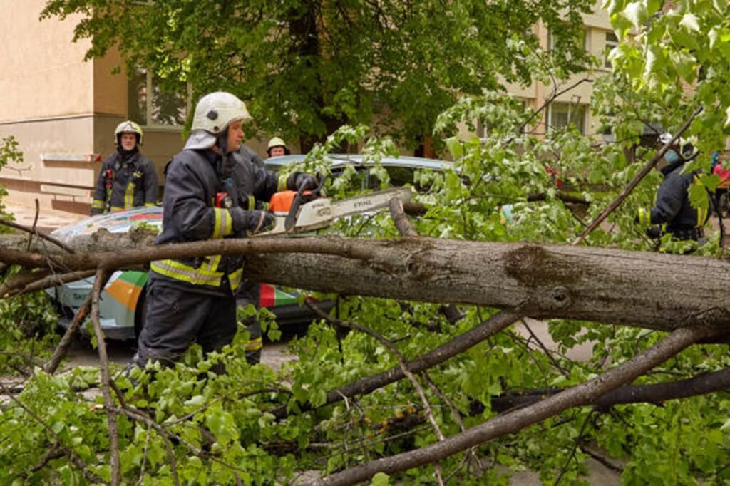 Emergency tree service crew safely cutting and removing a fallen tree blocking a residential street in Wildwood, MO after severe storm damage.