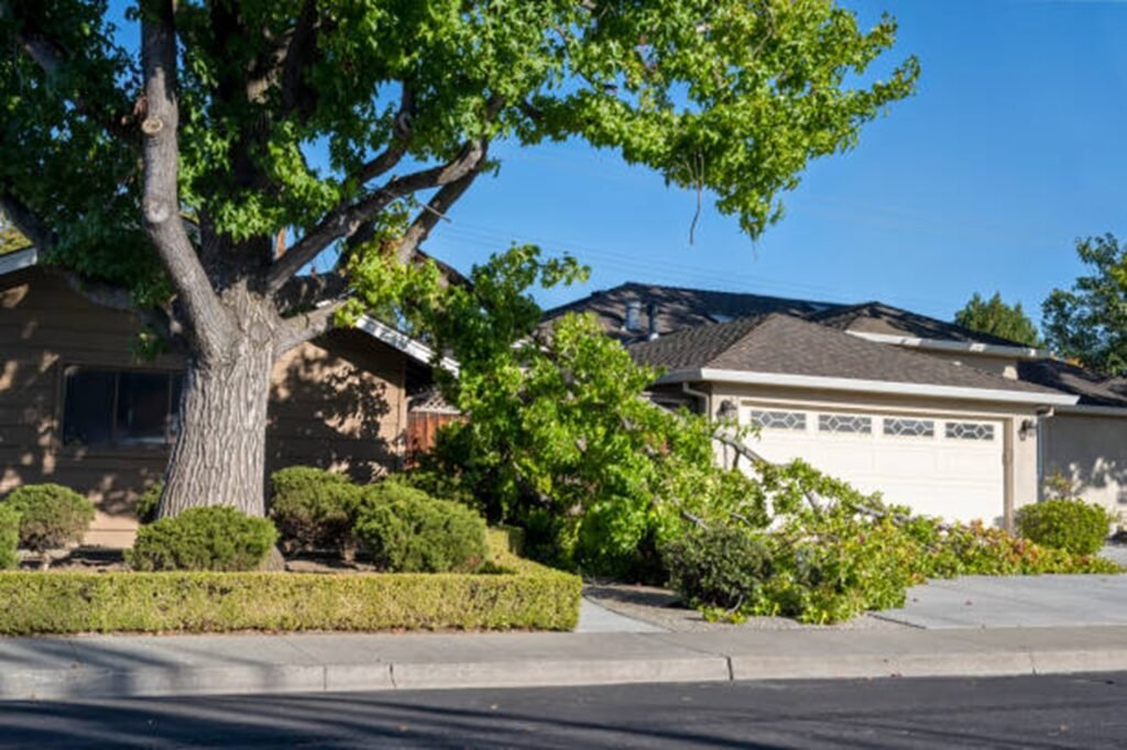 Storm-damaged tree with broken limbs blocking a residential driveway before professional storm damage cleanup in Ballwin, MO.